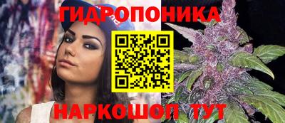 ешки Владикавказ